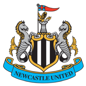 Prediksi Bola Jitu Newcastle vs Fulham 22 Desember 2018